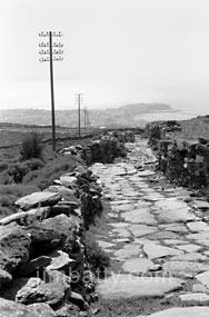 A Tinos mule road, with Tinostown in the distance