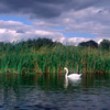 Kayak photography on River Thames article by Jim Batty