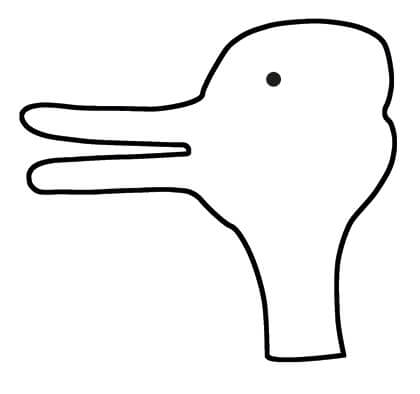 Jastrow's Duck-rabbit: Outline figure that can be seen as both a duck facing left and rabbit looking up.