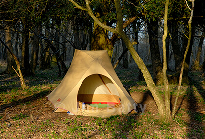 Late afternoon light on a small tent amongst moss covered trees in a wood.