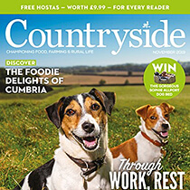 Countryside magazine cover showing happy two dogs in the countryside